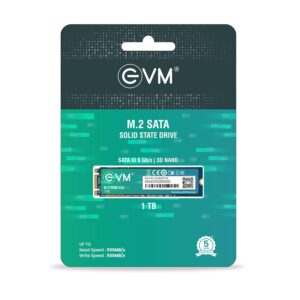EVM 1TB M.2 (2280) SATA Internal SSD - 550MB/s Read & 500MB/s Write - 5-Year Warranty (EVMM2/1TB)